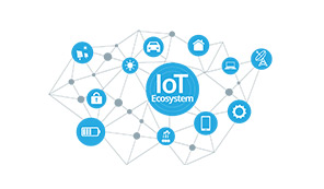IoT