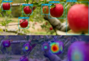 AI Object Detection Demo Application - Avinton Japan
