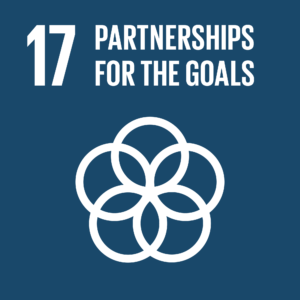 Strengthen the means of implementation and revitalize the global partnership for sustainable development