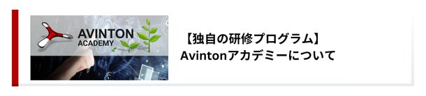 Avintonアカデミーについて