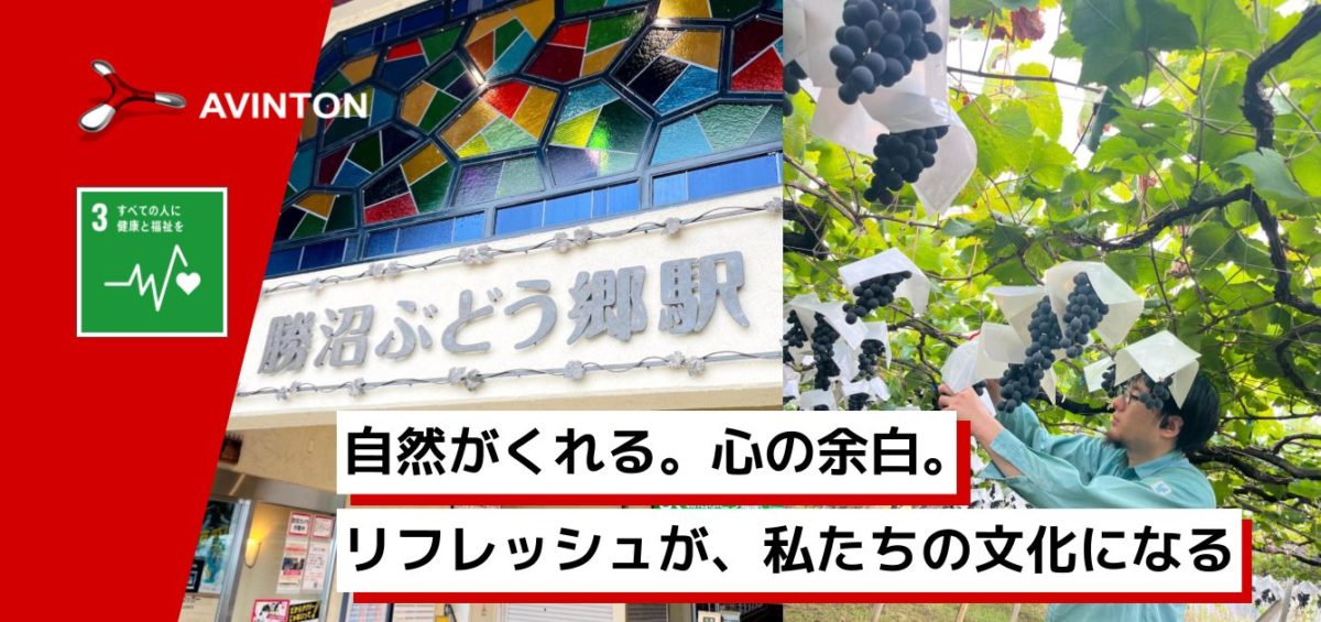 Avinton SDGs: ぶどう収穫イベント開催