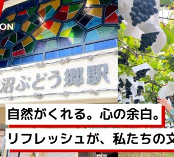 Avinton SDGs: ぶどう収穫イベント開催