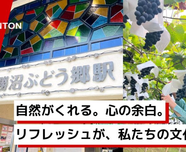 Avinton SDGs: ぶどう収穫イベント開催