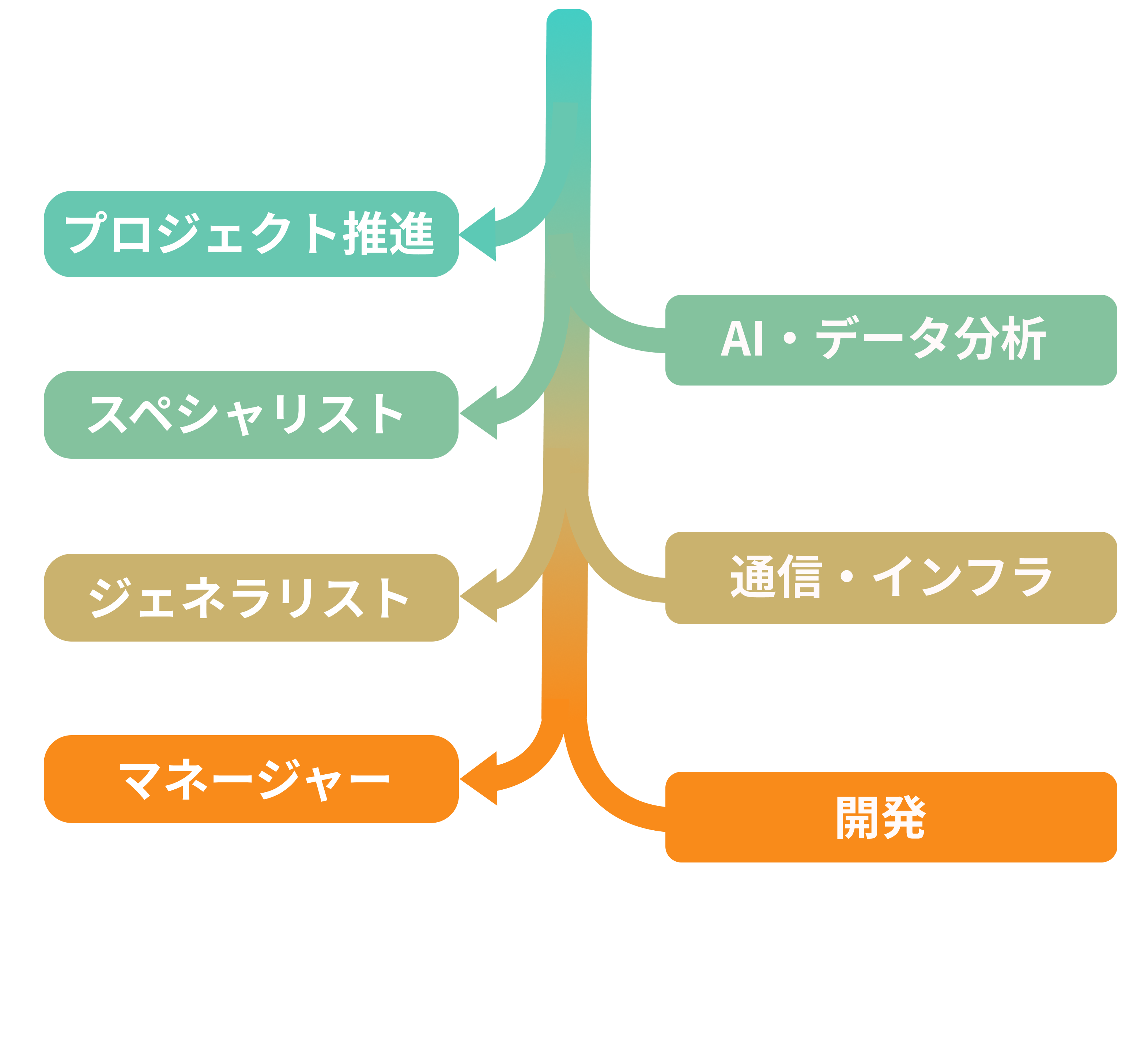 career path diagram showing different roles and growth opportunities after joining the company